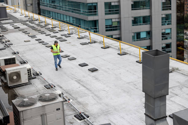 Best Skylight Installation and Repair  in Benton Harbor, MI